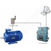 煤礦機(jī)電設(shè)備電動(dòng)機(jī)主軸承溫度振動(dòng)在線監(jiān)測(cè)
